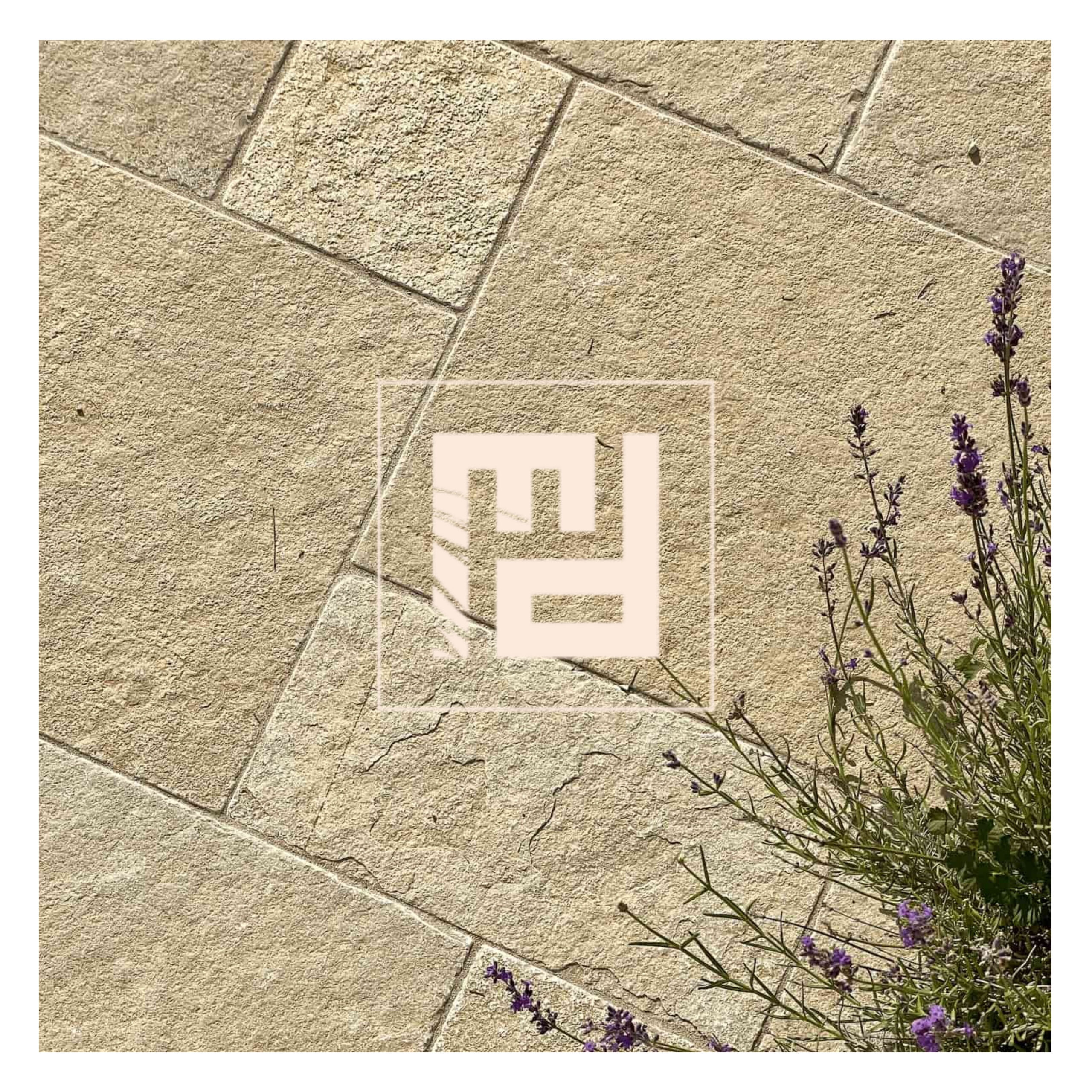 pierre taza beige (